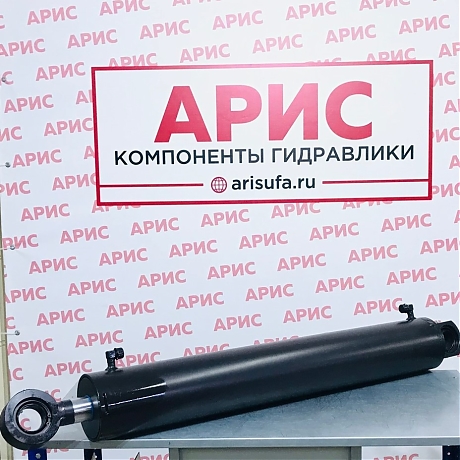 Гидравлический цилиндр ГЦ 125.50.800.1130.50 (ШС)