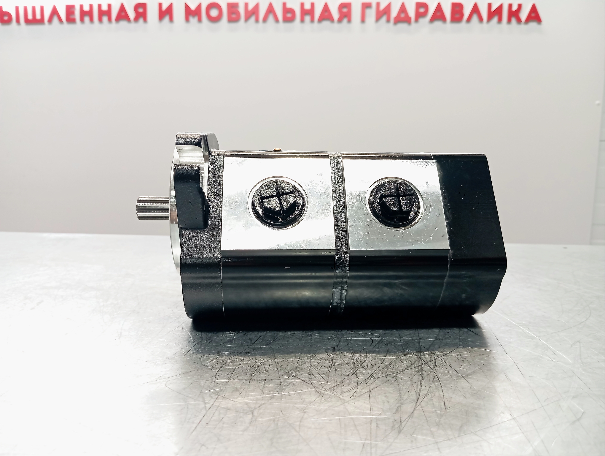 Гидронасос T3-8/6R-S02D04-SG04G03/NG03-N3D