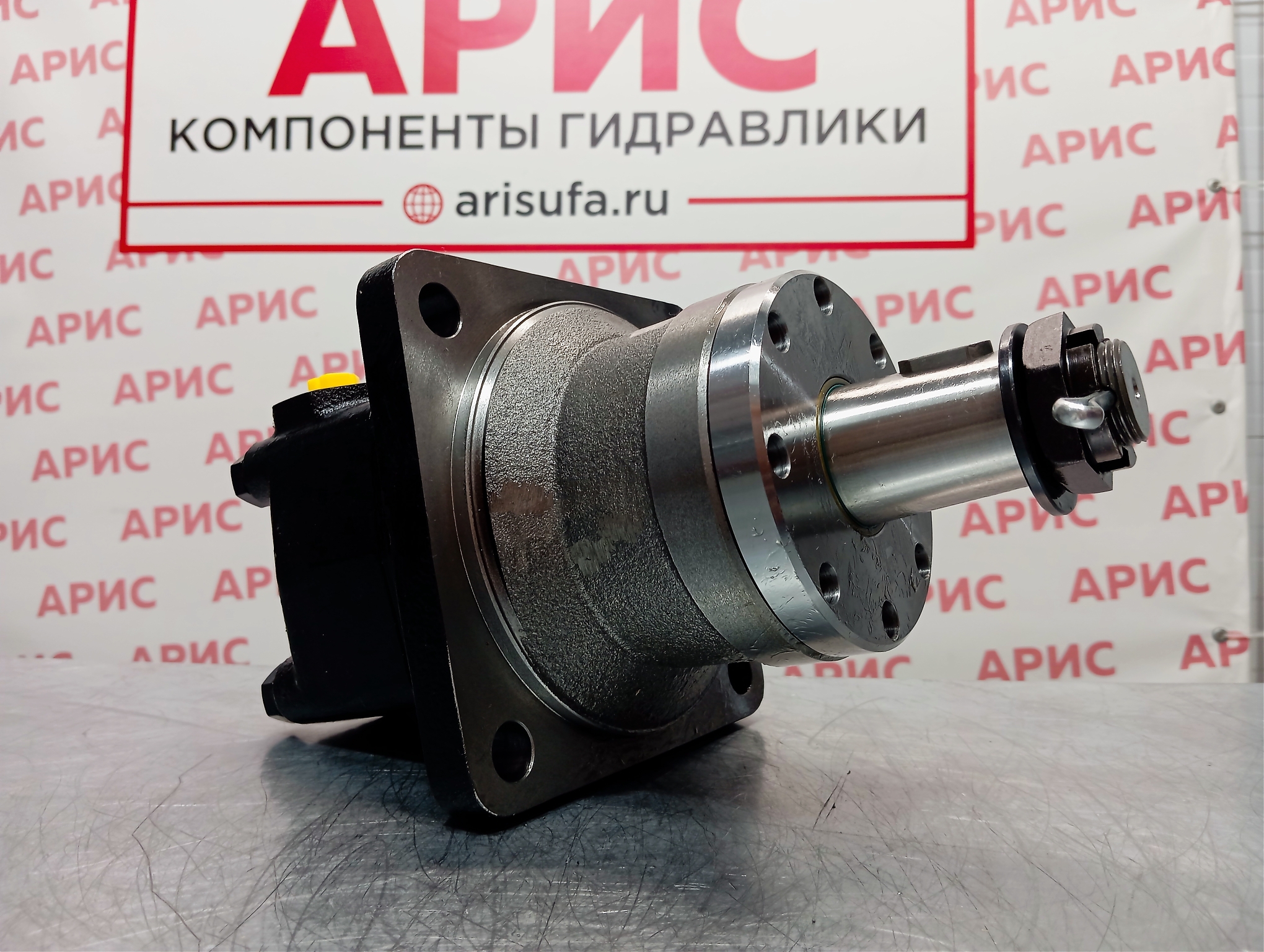 Гидромотор BM4WU-320Z2AY/T8 (аналог MTW 315K)