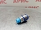 Реле давления K4VAF1/P1 10-100 bar,NO 1/4